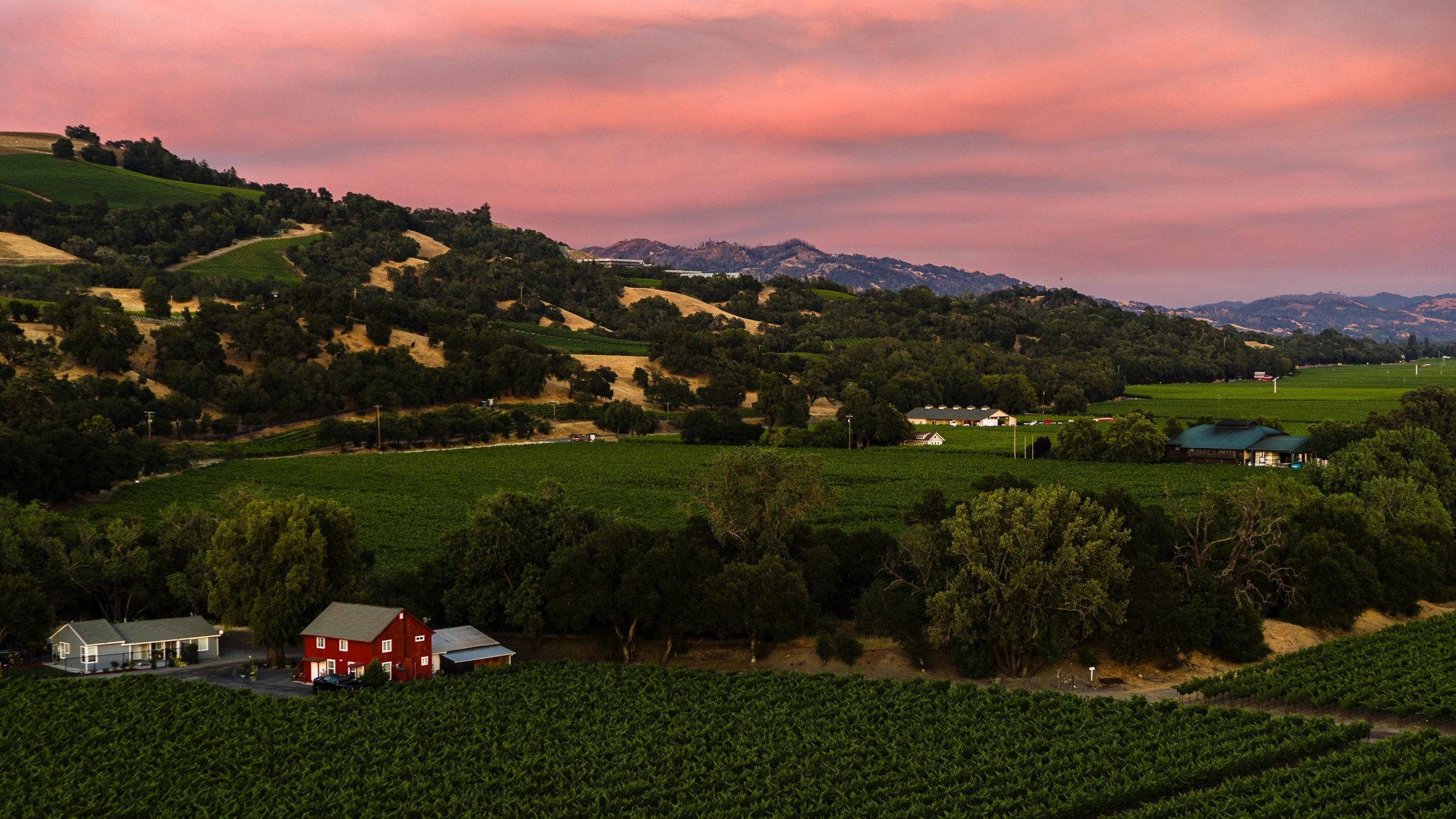 Farm buildings and agricultural infrastructure