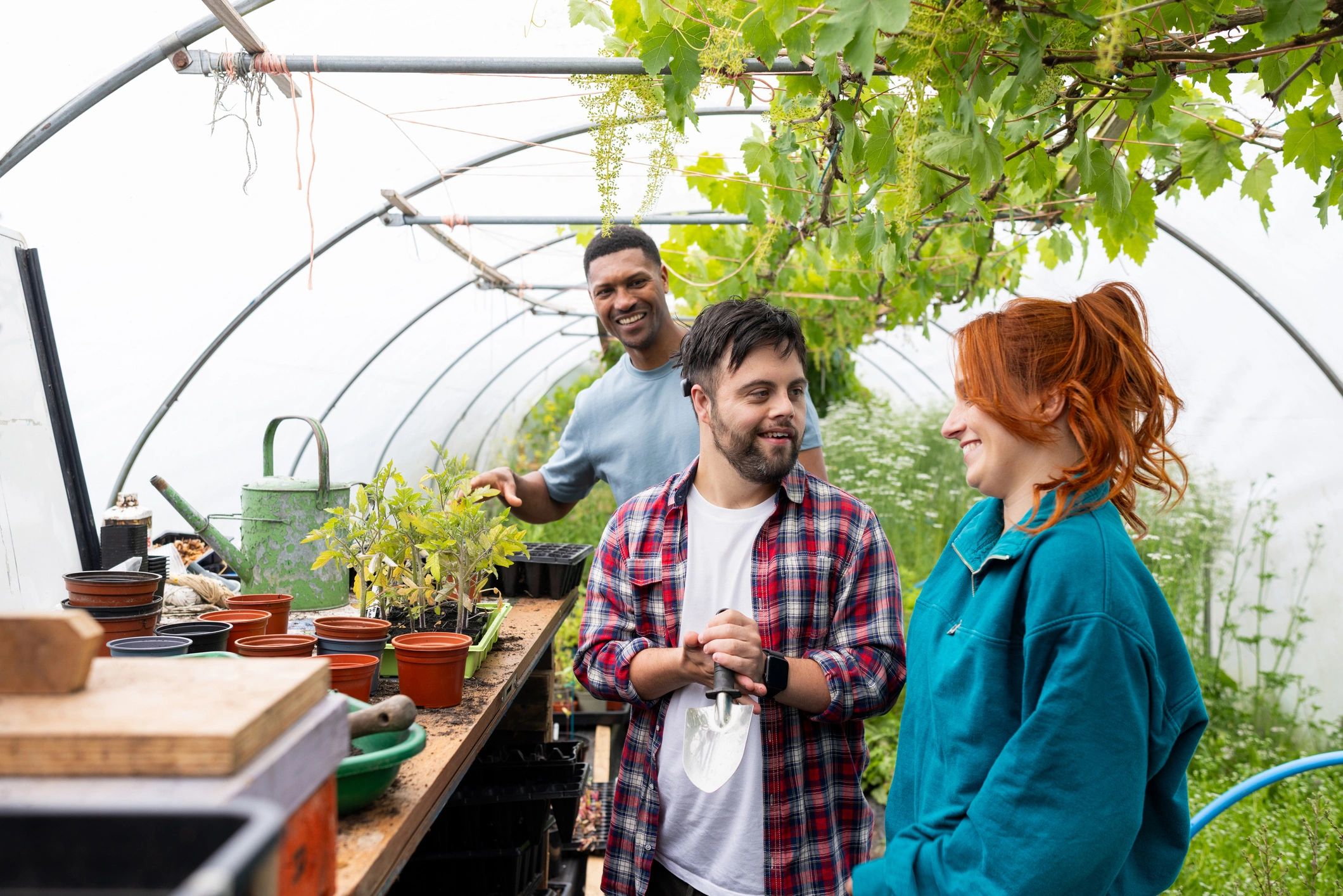 Team working together in a greenhouse environment