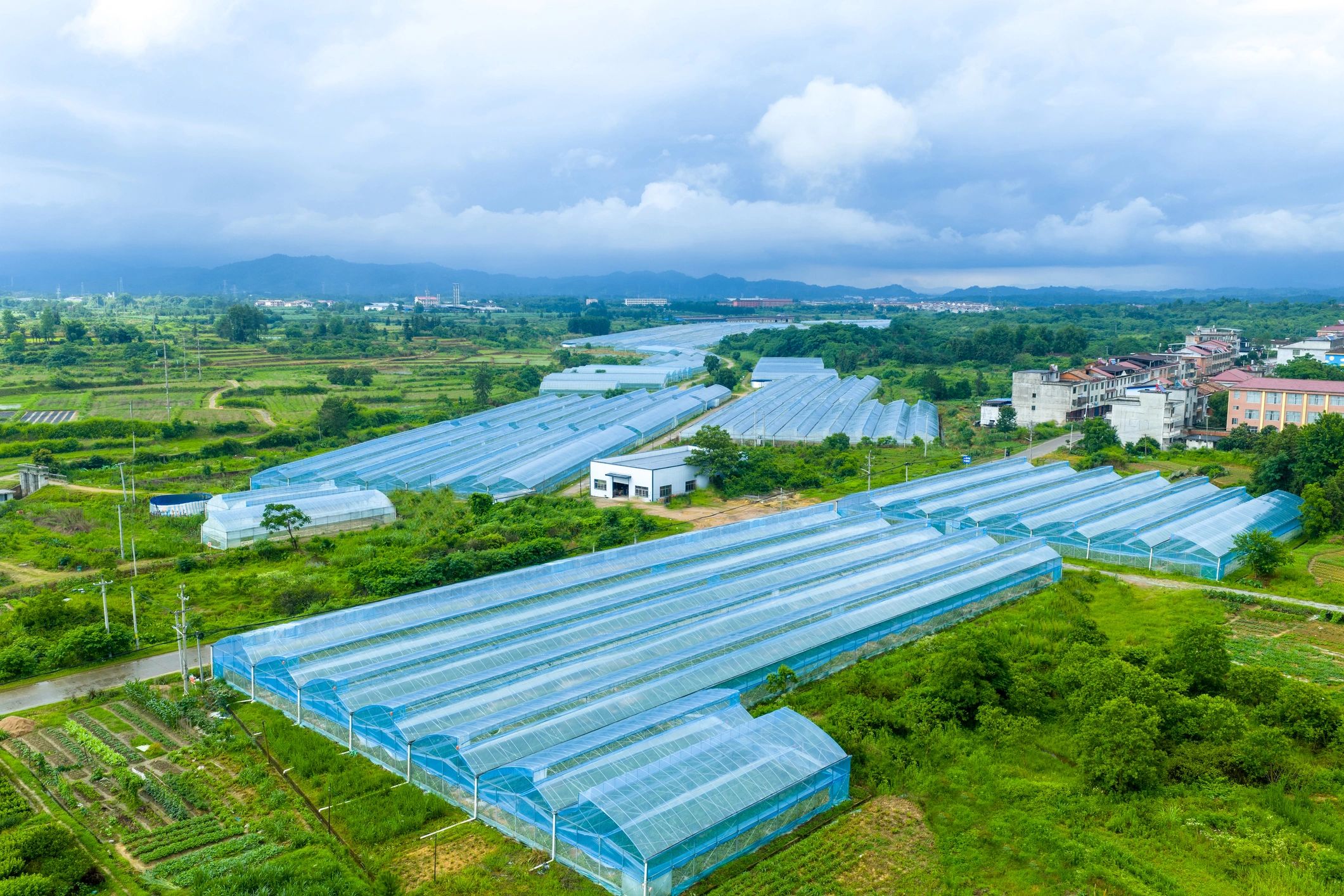 Aerial view of modern greenhouse agriculture